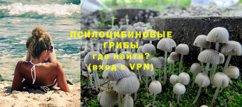 мега как зайти  Красный Холм  Галлюциногенные грибы MAGIC MUSHROOMS 